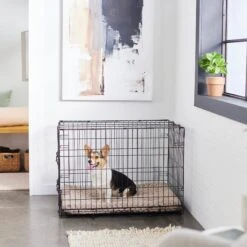 Frisco Swirl Dog Crate Mat 12 Frisco Swirl Dog Crate Mat -Frisco 110506 PT5. AC SS1800 V1635258765