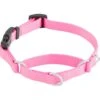Frisco Solid Nylon Martingale Dog Collar With Buckle 1 Frisco Solid Nylon Martingale Dog Collar With Buckle -Frisco 139177 Main. AC SS1800 V1582829287
