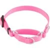 Frisco Solid Nylon Slip-On Martingale Dog Collar -Frisco 139181 Main. AC SS1800 V1582829392