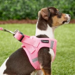 Frisco Small Breed Soft Vest Step In Back Clip Dog Harness 13 Frisco Small Breed Soft Vest Step In Back Clip Dog Harness -Frisco 139821 PT5. AC SS1800 V1561573781