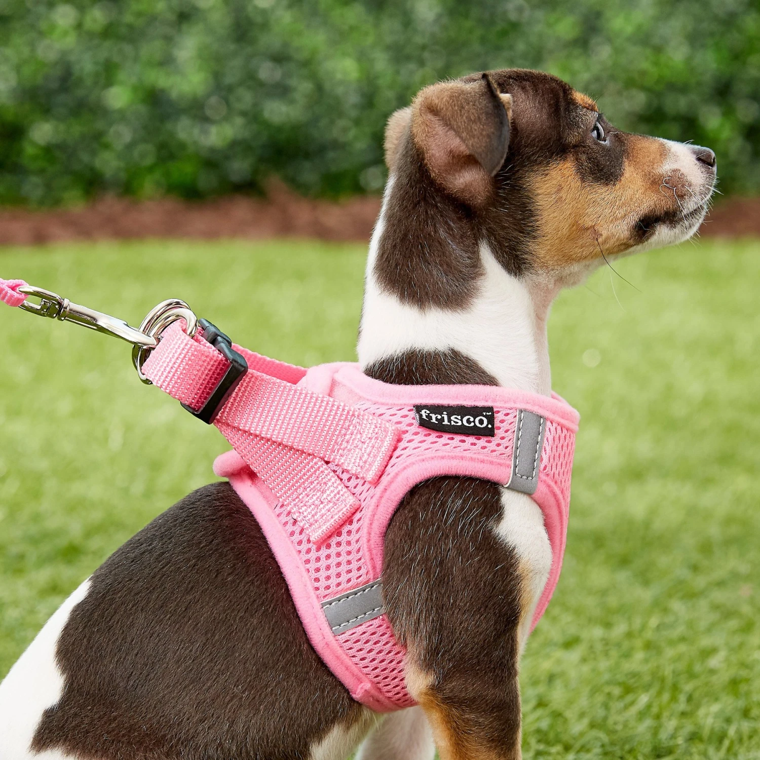 Frisco Small Breed Soft Vest Step In Back Clip Dog Harness 8 Frisco Small Breed Soft Vest Step In Back Clip Dog Harness - Image 6