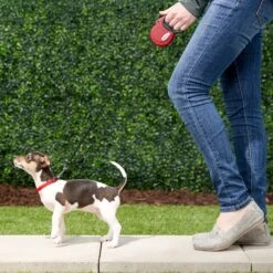 Frisco Nylon Tape Reflective Retractable Dog Leash 8 Frisco Nylon Tape Reflective Retractable Dog Leash -Frisco 140896 PT1. AC SS1800 V1524073683