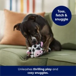 Frisco Cow Plush Squeaky Dog Toy 8 Frisco Cow Plush Squeaky Dog Toy -Frisco 147003 PT3. AC SS1800 V1686079871