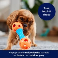 Frisco Dumbbell TPR Fetch Dog Toy 10 Frisco Dumbbell TPR Fetch Dog Toy -Frisco 147108 PT3. AC SS1800 V1695241969