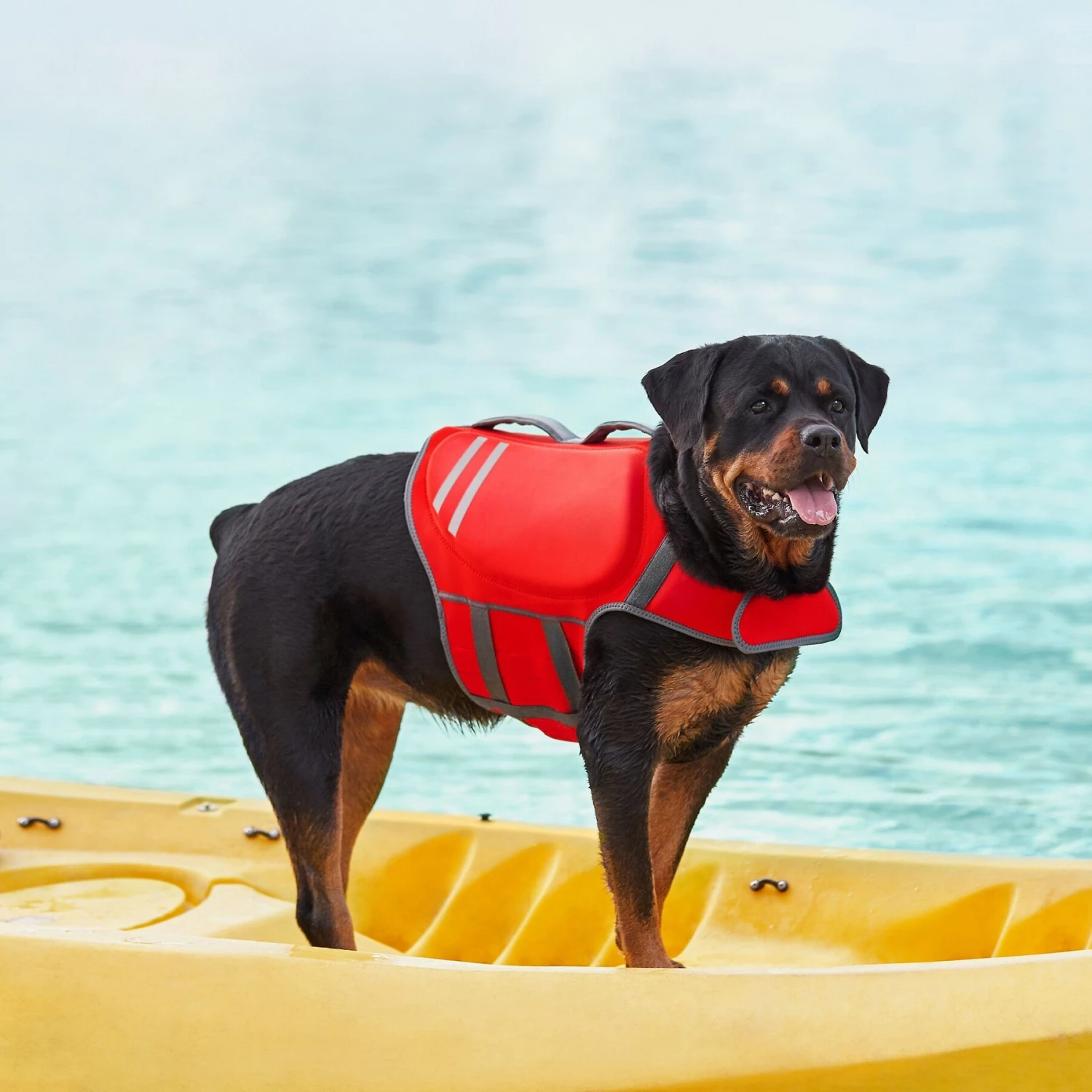 Frisco Neoprene Dog Life Jacket 10 Frisco Neoprene Dog Life Jacket - Image 8