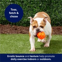 Frisco Fetch Squeaky TPR Ball Dog Toy 12 Frisco Fetch Squeaky TPR Ball Dog Toy -Frisco 152801 PT4. AC SS1800 V1686580091