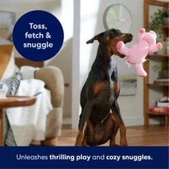 Frisco Corduroy Plush Squeaking Pig Dog Toy 12 Frisco Corduroy Plush Squeaking Pig Dog Toy -Frisco 152832 PT4. AC SS1800 V1695671001