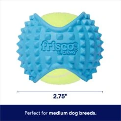 Frisco Fetch Squeaky Tennis Ball With Rubber Sleeve Dog Toy 10 Frisco Fetch Squeaky Tennis Ball With Rubber Sleeve Dog Toy -Frisco 152844 PT1. AC SS1800 V1691776641
