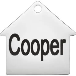 Frisco Stainless Steel Personalized Dog ID Tag, Dog House 11 Frisco Stainless Steel Personalized Dog ID Tag, Dog House -Frisco 153000 PT2. AC SS1800 V1548964636