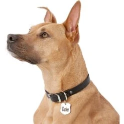 Frisco Stainless Steel Personalized Dog & Cat ID Tag, Badge -Frisco 153009 PT5. AC SS1800 V1540562391