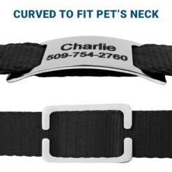 Frisco Stainless Steel Slide-On Personalized Dog & Cat Tag, Open Design -Frisco 153050 PT4. AC SS1800 V1644016599