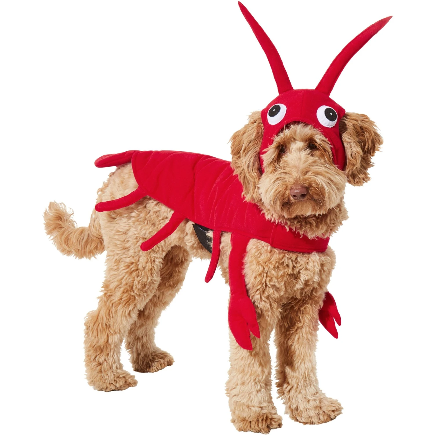 Frisco Red Lobster Dog & Cat Costume 5 Frisco Red Lobster Dog & Cat Costume - Image 3