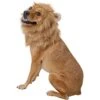 Frisco Lion Mane Dog & Cat Costume 2 Frisco Lion Mane Dog & Cat Costume -Frisco 158732 MAIN. AC SS1800 V1625873829