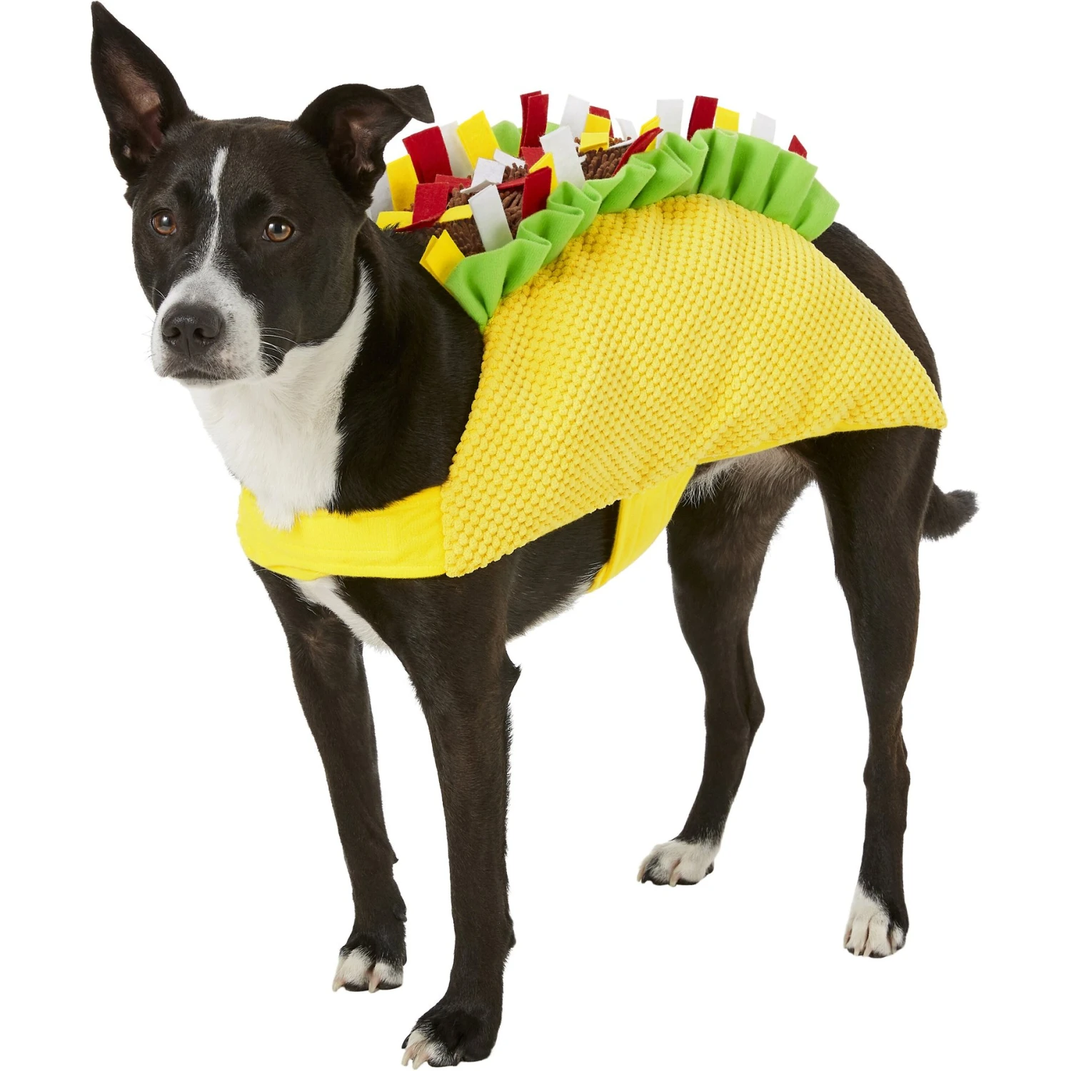 Frisco Taco Dog & Cat Costume 3 Frisco Taco Dog & Cat Costume