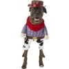 Frisco Front Walking Cowboy Dog & Cat Costume 1 Frisco Front Walking Cowboy Dog & Cat Costume -Frisco 158842 Main. AC SS1800 V1564408627