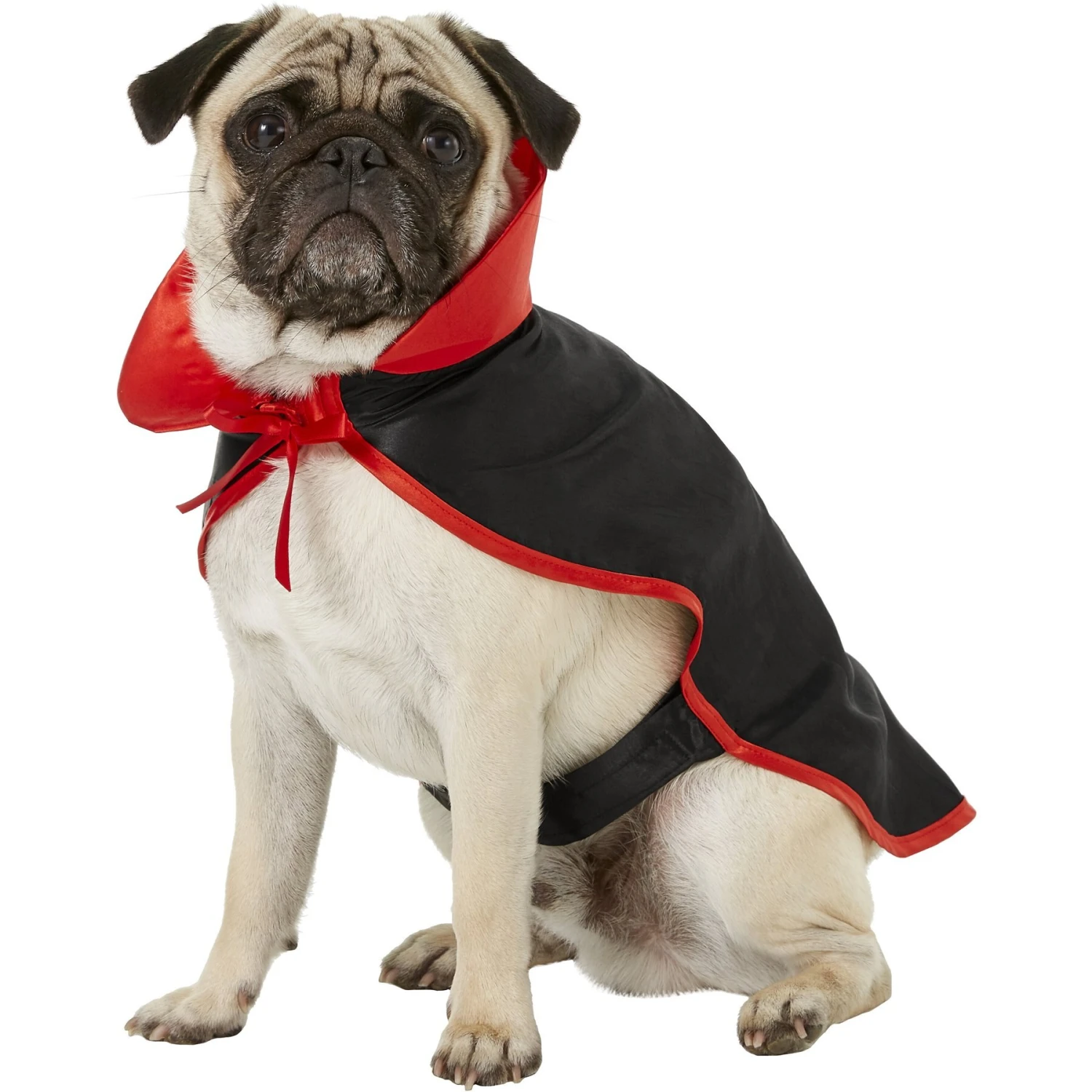 Frisco Vampire Cape Dog & Cat Costume 3 Frisco Vampire Cape Dog & Cat Costume