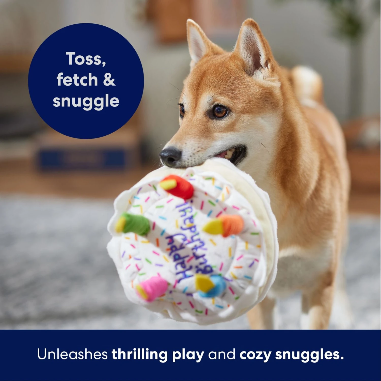 Frisco Birthday Cake Plush Squeaky Dog Toy 7 Frisco Birthday Cake Plush Squeaky Dog Toy - Image 5