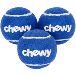 Frisco Chewy Fetch Squeaky Tennis Ball Dog Toy