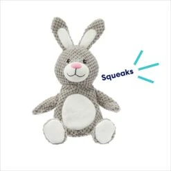 Frisco Bunny Textured Plush Squeaky Dog Toy -Frisco 174693 PT2. AC SS1800 V1695670750