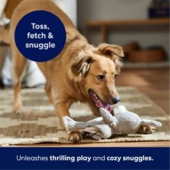 Frisco Bunny Textured Plush Squeaky Dog Toy -Frisco 174693 PT4. AC SS1800 V1695671088