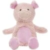 Frisco Pig Textured Plush Squeaky Dog Toy 1 Frisco Pig Textured Plush Squeaky Dog Toy -Frisco 174695 Main. AC SS1800 V1572616376