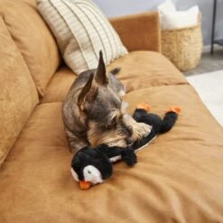 Frisco Penguin Skinny Plush Squeaky Dog Toy 7 Frisco Penguin Skinny Plush Squeaky Dog Toy -Frisco 174707 PT2. AC SS1800 V1573492672