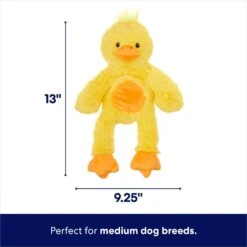 Frisco Duck Plush With Inside Rope Squeaky Dog Toy -Frisco 174723 PT1. AC SS1800 V1692020091