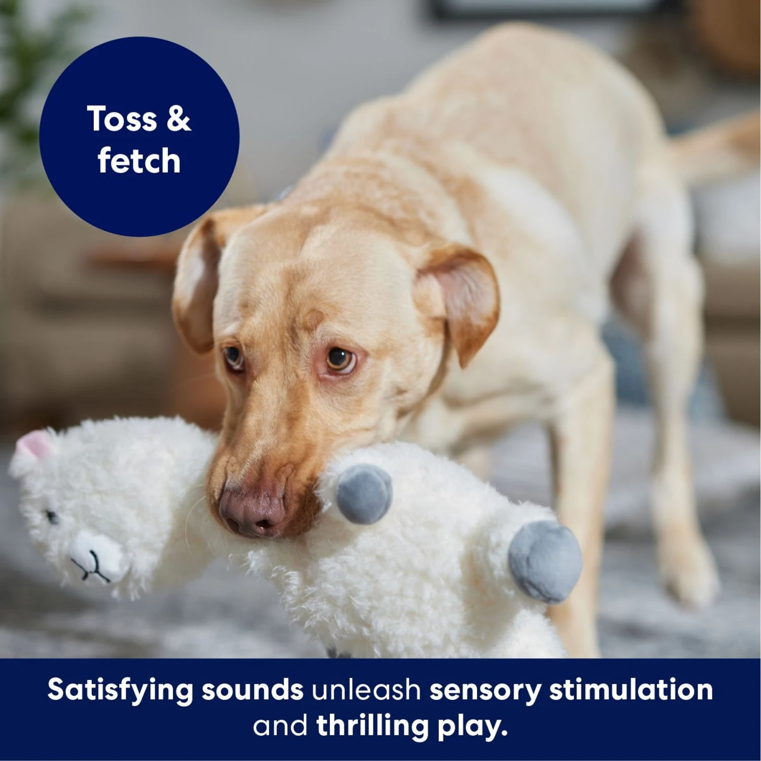 Frisco Llama Bobberz Plush Squeaky Dog Toy 7 Frisco Llama Bobberz Plush Squeaky Dog Toy - Image 5