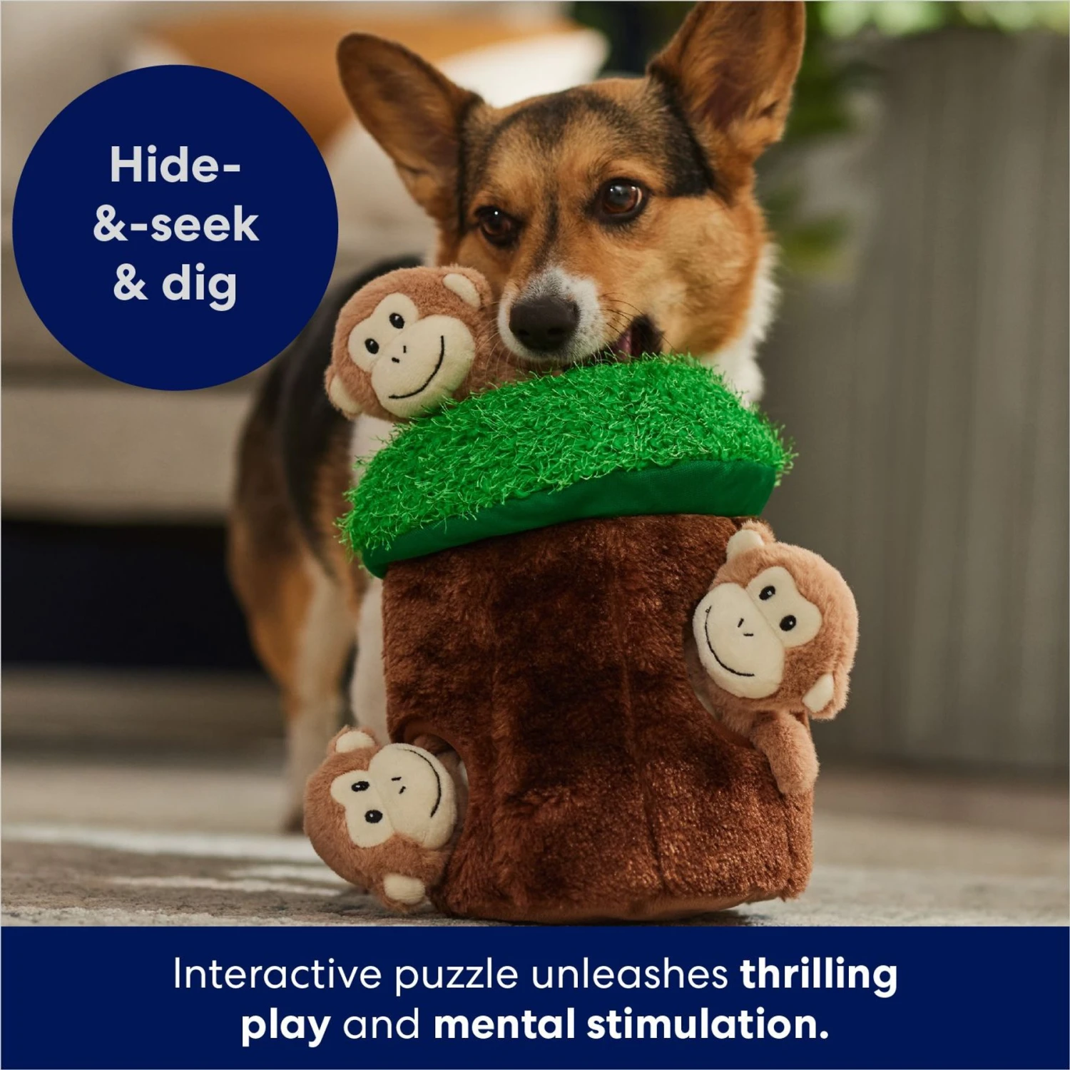 Frisco Monkeys In Tree Hide & Seek Puzzle Plush Squeaky Dog Toy 8 Frisco Monkeys In Tree Hide & Seek Puzzle Plush Squeaky Dog Toy - Image 6