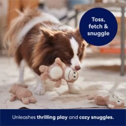 Frisco Monkeys In Tree Hide & Seek Puzzle Plush Squeaky Dog Toy Refills -Frisco 174768 PT5. AC SS1800 V1691784249