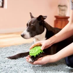 Frisco Bone Dog Curry Brush 8 Frisco Bone Dog Curry Brush -Frisco 206851 PT4. AC SS1800 V1680186155