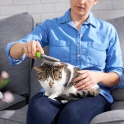 Frisco Cat & Dog Pin Brush 12 Frisco Cat & Dog Pin Brush -Frisco 206861 PT7. AC SS1800 V1680186386