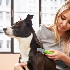 Frisco Single-Row Flea Comb For Cats & Dogs -Frisco 206884 PT4. AC SS1800 V1680186103