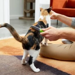 Frisco Single-Row Flea Comb For Cats & Dogs -Frisco 206884 PT5. AC SS1800 V1680186100