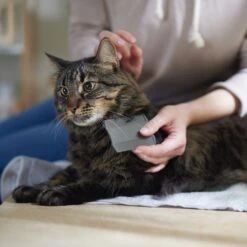 Frisco Flea Comb For Cats & Dogs -Frisco 206888 PT4. AC SS1800 V1680186101