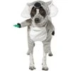Frisco Front Walking Koala Dog & Cat Costume -Frisco 215546 MAIN. AC SS1800 V1595980873