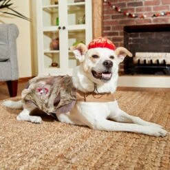 Frisco Zombie Dog & Cat Costume 13 Frisco Zombie Dog & Cat Costume -Frisco 215624 PT8. AC SS1800 V1599226580
