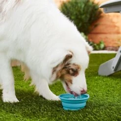 Frisco Silicone Collapsible Travel Bowl Set -Frisco 216033 PT7. AC SS1800 V1605661035