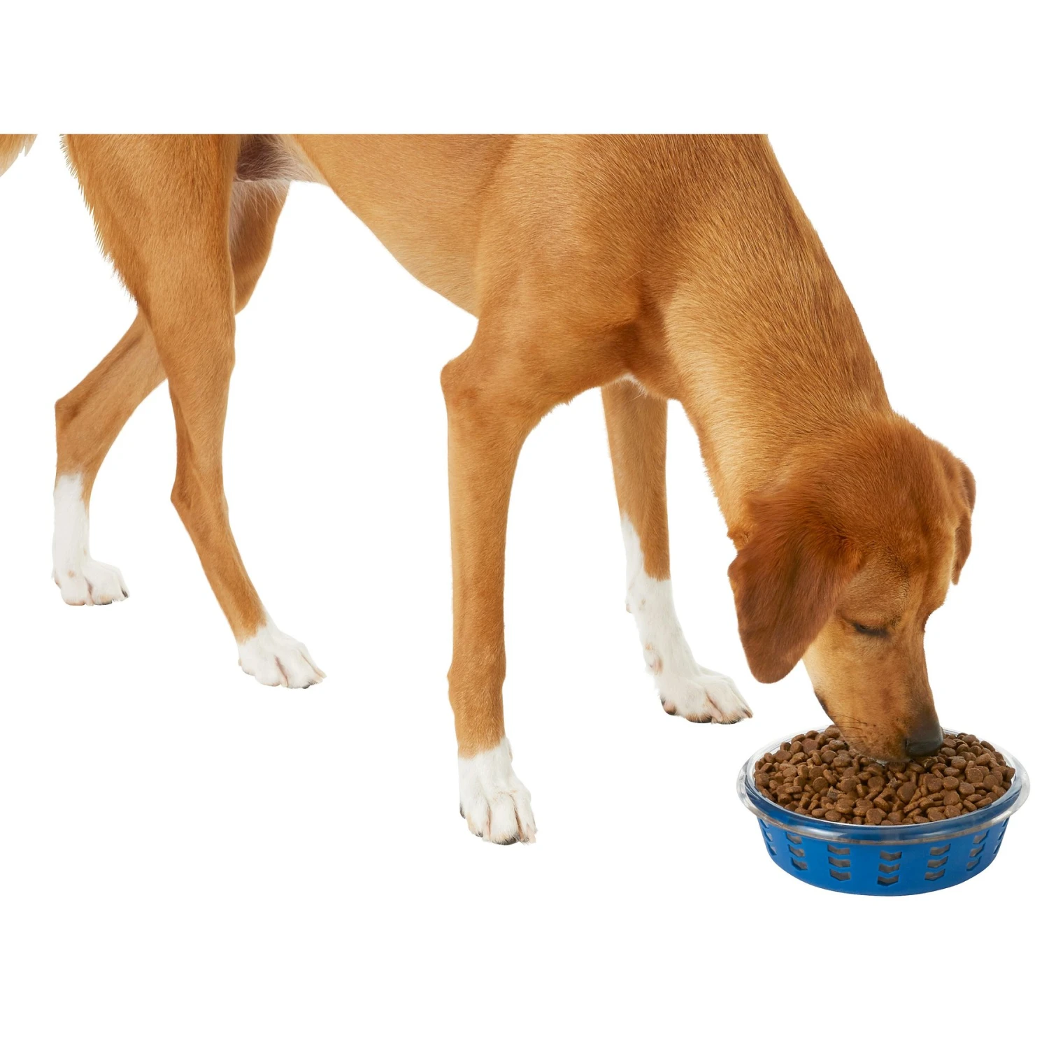 Frisco Chevron Design Glass Bowl With Silicone Sleeve 7 Frisco Chevron Design Glass Bowl With Silicone Sleeve - Image 5