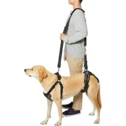 Frisco Front & Rear Lift Handicapped Support Dog Harness 12 Frisco Front & Rear Lift Handicapped Support Dog Harness -Frisco 220372 PT6. AC SS1800 V1605758261