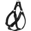 Frisco Nylon Step In Back Clip Dog Harness 1 Frisco Nylon Step In Back Clip Dog Harness -Frisco 220519 MAIN. AC SS1800 V1699631311