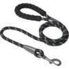 Frisco Rope Dog Leash With Padded Handle 1 Frisco Rope Dog Leash With Padded Handle -Frisco 221218 MAIN. AC SS1800 V1701796765