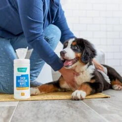 Frisco -Frisco 222173 PT1. AC SS1800 V1602814320