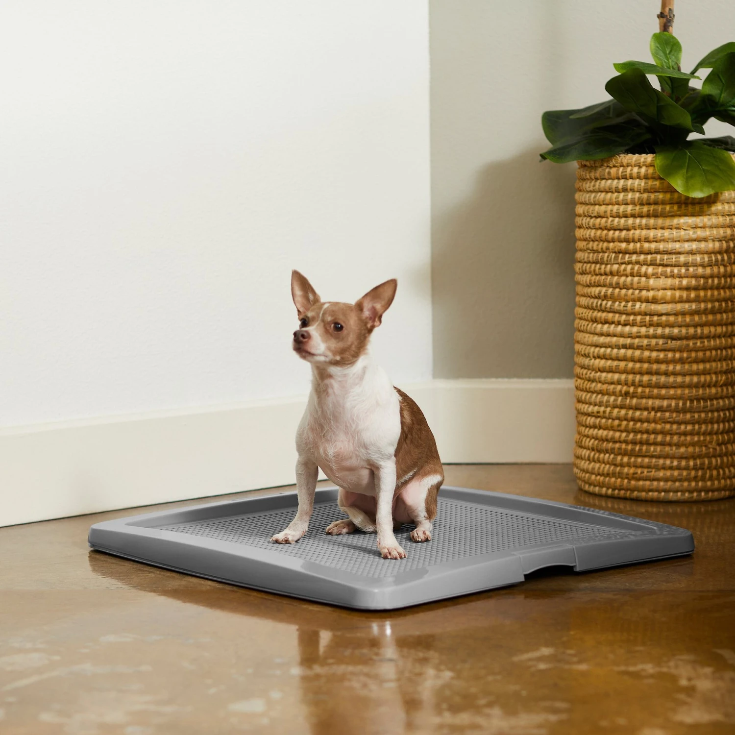 Frisco Training Pad Holder 7 Frisco Training Pad Holder - Image 5