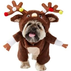 Frisco Front Walking Reindeer Dog & Cat Costume, 1 Count -Frisco 228790 PT2. AC SS1800 V1636731101