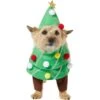 Frisco Front Walking Christmas Tree Dog & Cat Costume 1 Frisco Front Walking Christmas Tree Dog & Cat Costume -Frisco 229164 MAIN. AC SS1800 V1631300529