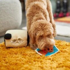 Frisco Retro Camera 2-in-1 Rip For Surprise Plush Squeaky Dog Toy -Frisco 230306 PT3. AC SS1800 V1602639779