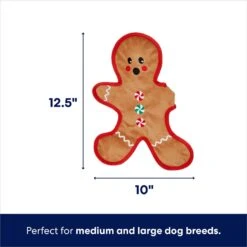 Frisco Holiday Gingerbread Man Flat Plush Squeaky Dog Toy 9 Frisco Holiday Gingerbread Man Flat Plush Squeaky Dog Toy -Frisco 233241 PT1. AC SS1800 V1695043884