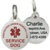 Frisco Service Personalized Dog ID Tag, Round Shape 1 Frisco Service Personalized Dog ID Tag, Round Shape -Frisco 233739 main. AC SS1800 V1588081905