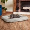 Frisco Orthopedic Personalized Bolster Dog Bed W/Removable Cover, Light Gray 1 Frisco Orthopedic Personalized Bolster Dog Bed W/Removable Cover, Light Gray -Frisco 234952 MAIN. AC SS1800 V1600207055